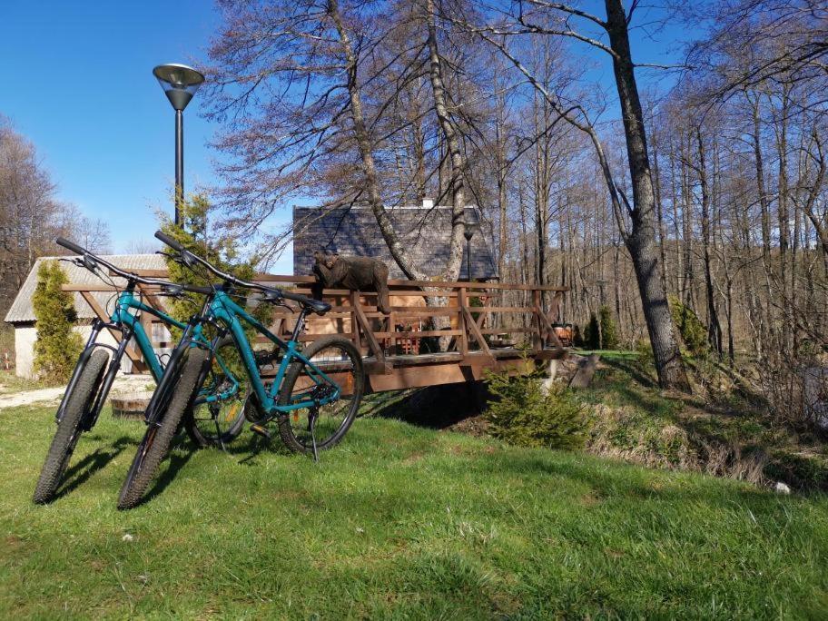 Vodenica Vrelo Chalets Vrelo Koreničko Εξωτερικό φωτογραφία
