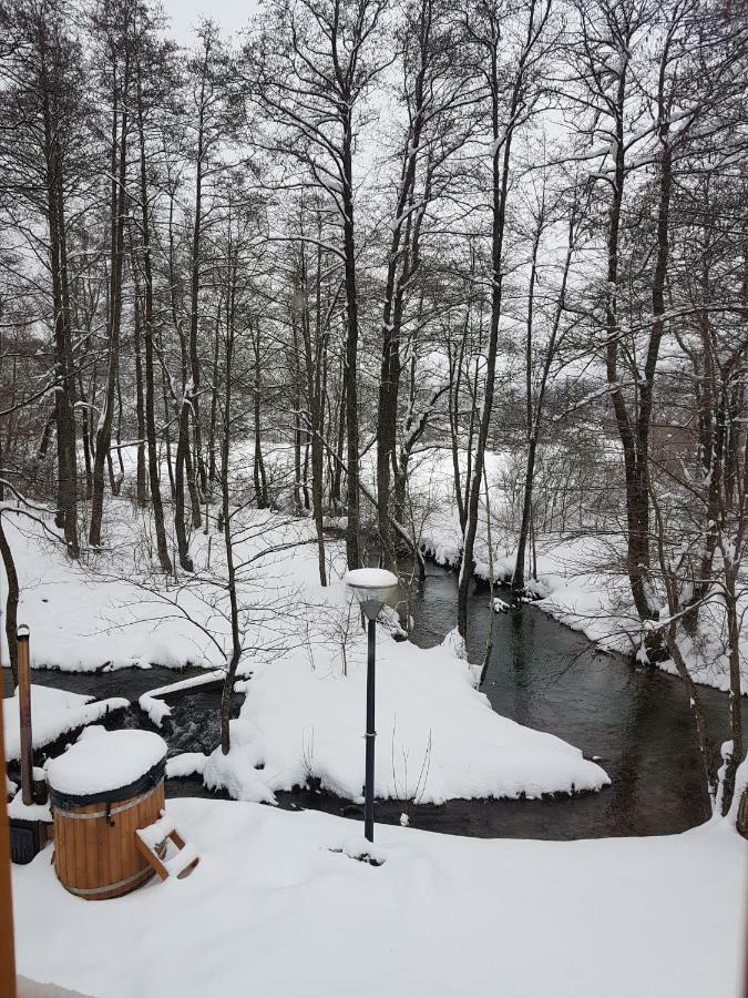 Vodenica Vrelo Chalets Vrelo Koreničko Εξωτερικό φωτογραφία