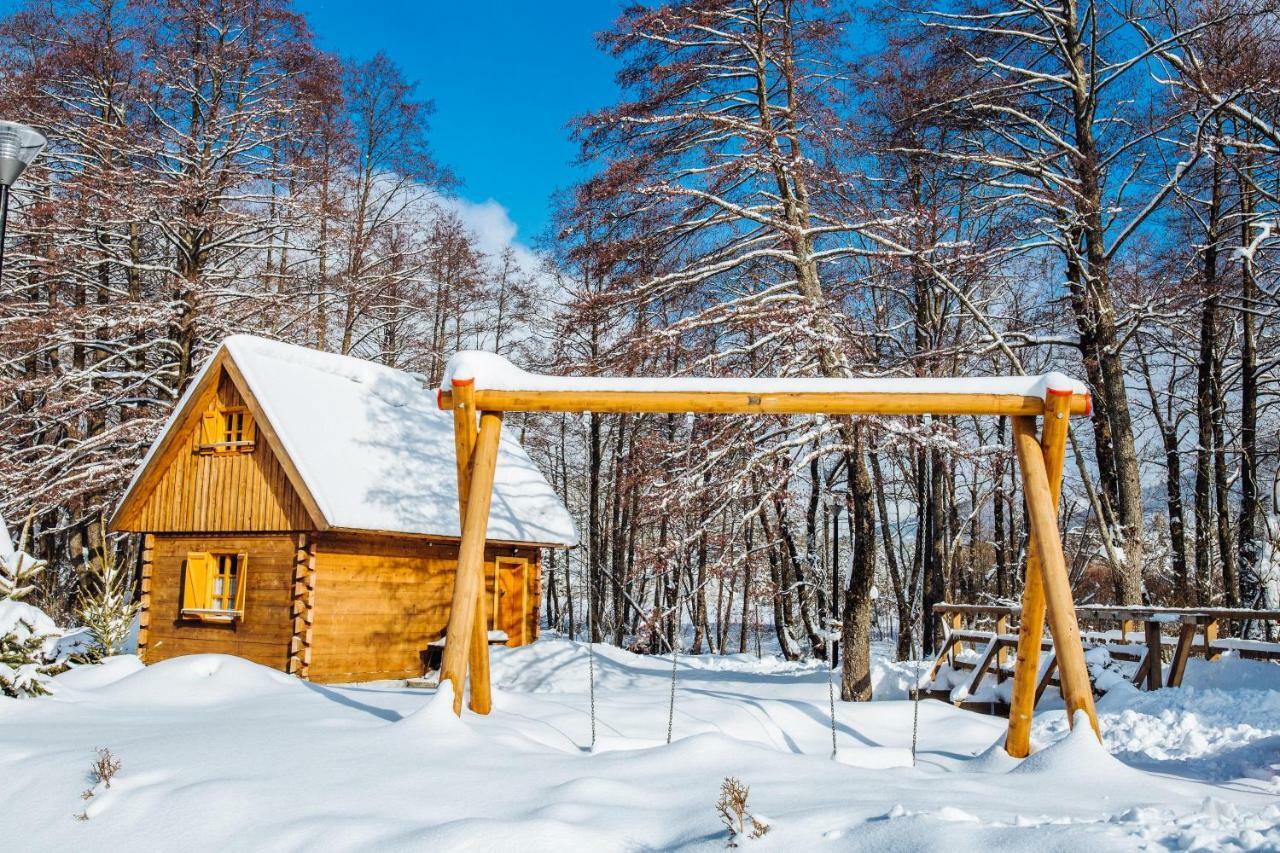 Vodenica Vrelo Chalets Vrelo Koreničko Εξωτερικό φωτογραφία