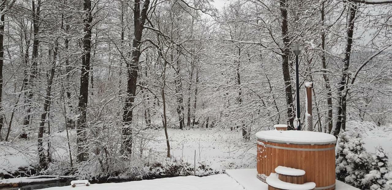 Vodenica Vrelo Chalets Vrelo Koreničko Εξωτερικό φωτογραφία